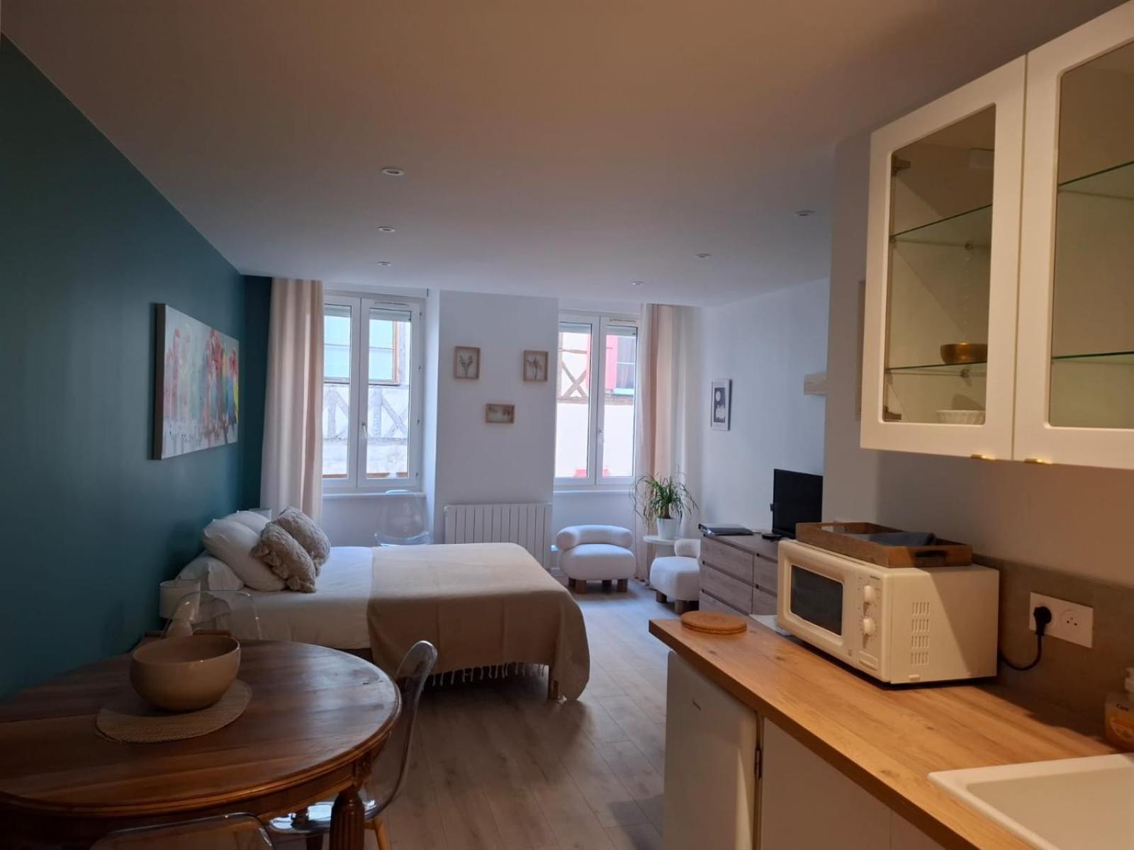 Studio Centre Macon Place Aux Herbes ภายนอก รูปภาพ